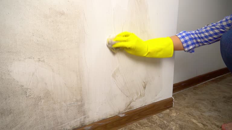  Hillsboro, OH Mold Removal Pros